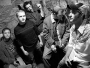possum_band1